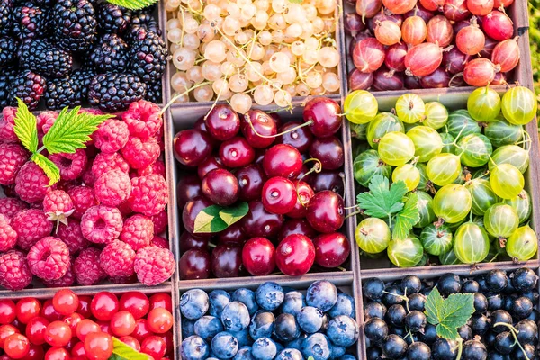 Ahşap Kutusunda Farklı Renkli Meyveler Yakın Çekim — Stok fotoğraf