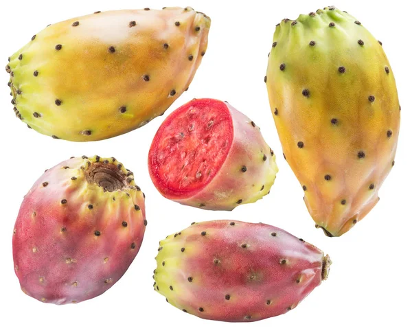 Prickly Peren Opuntia Vruchten Collectie Witte Achtergrond Bestand Bevat Uitknippad — Stockfoto