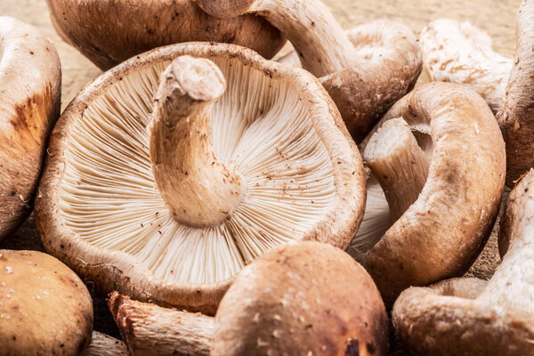 Shiitake mushrooms. Macro. Food background.