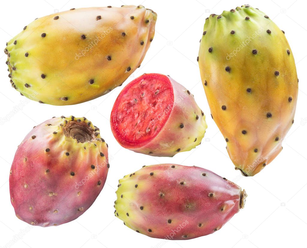Prickly pears or opuntia fruits collection on white background. File contains clipping path.