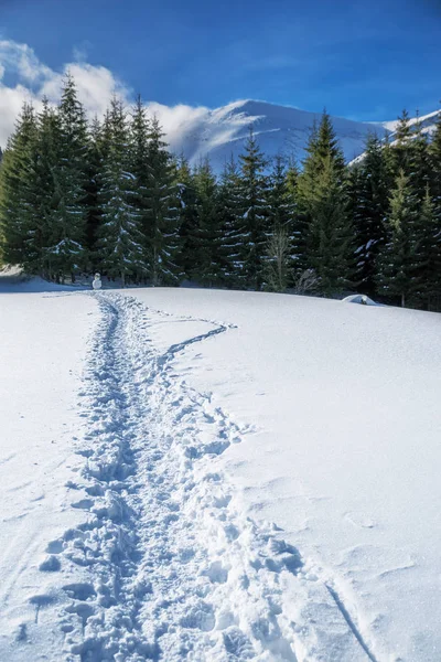 Krásná Zimní Krajina Horách Vrcholky Hor Pokryté Sněhem Zelená Jedle — Stock fotografie