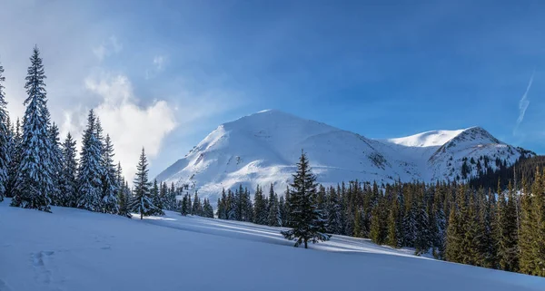 カルパティア山脈の美しい冬の風景 雪で覆われたペトロス ピーク — ストック写真