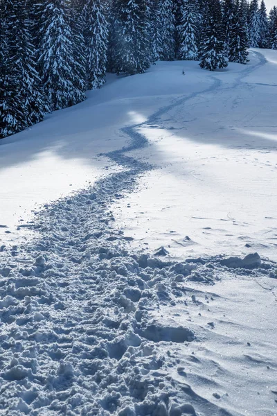 Hermoso Paisaje Invierno Camino Nieve Los Abetos Verdes Las Estribaciones —  Fotos de Stock