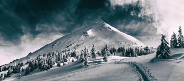 Güzel kış manzara Karpat Dağları'nın. Petros tepe karla kaplı. Siyah-beyaz fotoğraf.