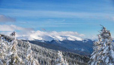 Güzel kış manzara dağlarda. Üstleri Dağları'nın eteklerinde, kar ve yeşil firs kaplı.