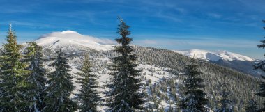 Mount Goverla, Ukrayna. Güzel kış manzara dağlarda. Üstleri Dağları'nın eteklerinde, kar ve yeşil firs kaplı.