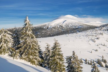 Mount Goverla, Ukrayna. Güzel kış manzara dağlarda. Üstleri Dağları'nın eteklerinde, kar ve yeşil firs kaplı.