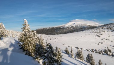 Mount Goverla, Ukrayna. Güzel kış manzara dağlarda. Üstleri Dağları'nın eteklerinde, kar ve yeşil firs kaplı.