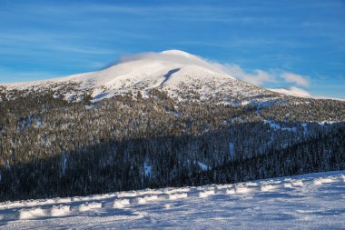 Mount Goverla, Ukrayna. Güzel kış manzara dağlarda. Üstleri Dağları'nın eteklerinde, kar ve yeşil firs kaplı.