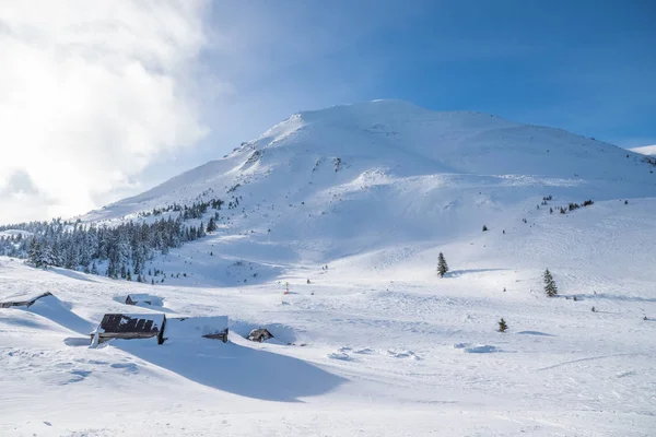 Beautiful Winter Landscape Carpathian Mountains Petros Peak Covered Snow — Stock Photo, Image