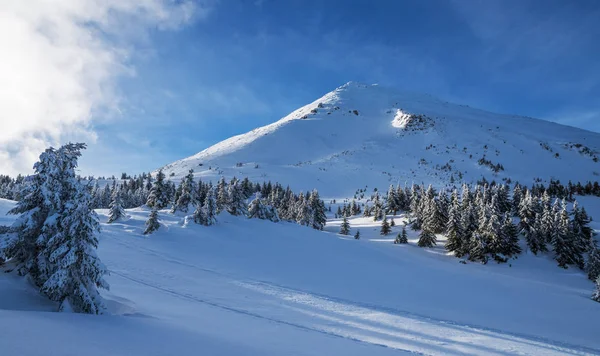 Beautiful Winter Landscape Carpathian Mountains Petros Peak Covered Snow — Stock Photo, Image