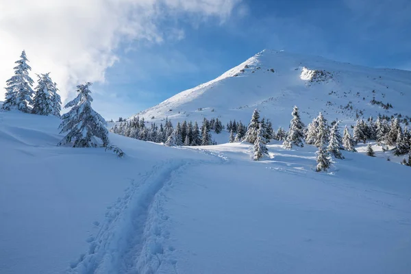 Hermoso Paisaje Invernal Las Montañas Cárpatas Petros Pico Cubierto Nieve —  Fotos de Stock