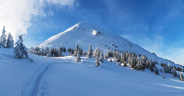 Bela Paisagem Inverno Das Montanhas Cárpatas Petros Pico Coberto Neve — Fotografia de Stock