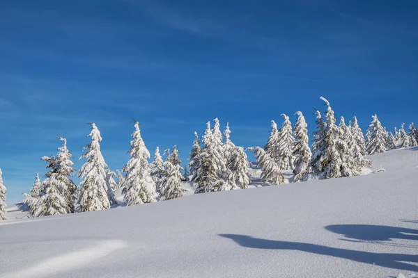 山の美しい冬の風景 麓で雪と緑のもみで覆われた山の頂 — ストック写真