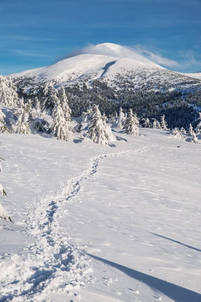 Mount Goverla Oekraïne Prachtige Winterlandschap Bergen Toppen Van Bergen Bedekt — Stockfoto