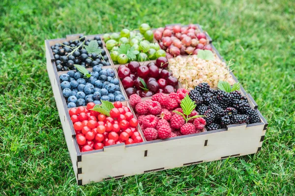 Summer Berries Wooden Box Green Grass Top View — Stock Photo, Image