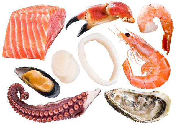 Different Seafood Pieces White Background File Contains Clipping Path Each — Stock Photo, Image