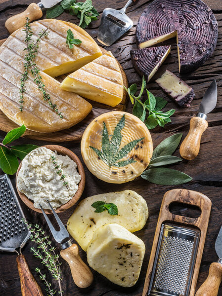 Homemade cheeses on the wooden background. Cheese background.