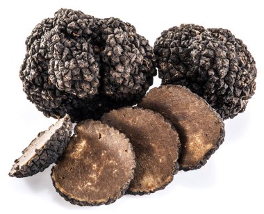 Beyaz arka planda siyah trüf mantarları izole edildi.