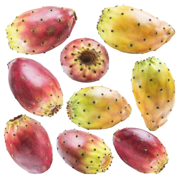 Kaktusfeigen Oder Opuntia Früchte Sammeln Sich Auf Weißem Hintergrund Datei — Stockfoto