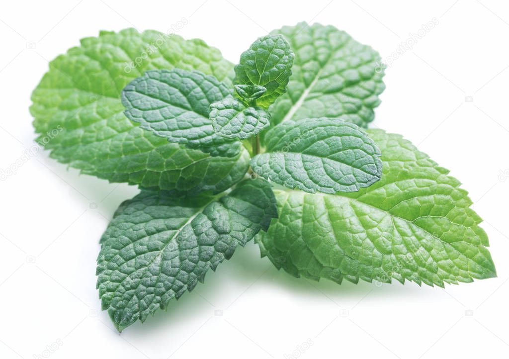 Perfect spearmint or mint isolated on white background.