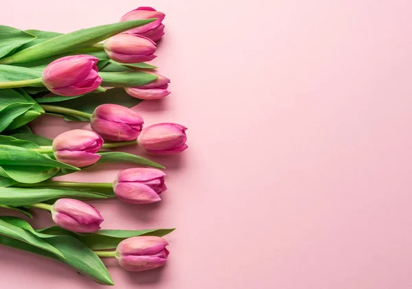 Ніжні Рожеві Тюльпани Світло Рожевому Фоні Вид Зверху — стокове фото