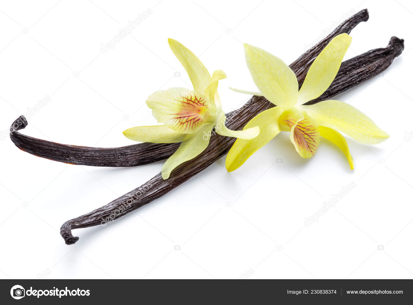 Frutas Secas Baunilha Flor Baunilha Orquídea Isolada Fundo Branco —  Fotografias de Stock © Valentyn_Volkov #230838374