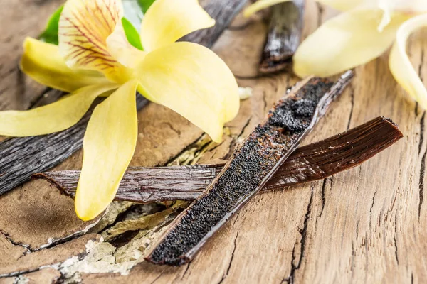 Getrocknete Vanillefrüchte Und Vanille Orchidee Auf Einem Holztisch Nahaufnahme — Stockfoto