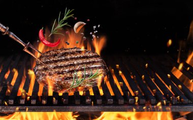 Hamburger baharat sinek alevli Izgara Barbekü ateşte ile öğütülmüş sığır eti. Gıda uçan kavramı.