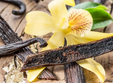 Dried vanilla stick and vanilla orchid on wooden table. Close-up. clipart