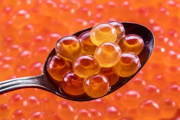 Salmon Roe Silver Spoon Close Red Caviar Background — Stock Photo, Image