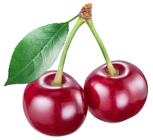 Two Cherries Cherry Leaf White Background File Contains Clipping Path — Stock Photo, Image