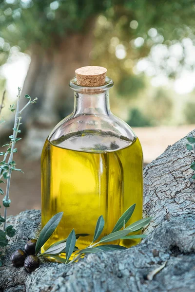 Fles Olijfolie Onder Olijfboom Achtergrond Wazig Natuur — Stockfoto