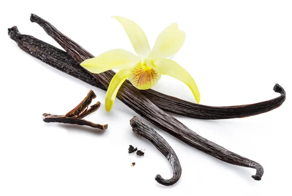 Getrocknete Vanillefrüchte Und Orchidee Vanilleblume Isoliert Auf Weißem Hintergrund — Stockfoto