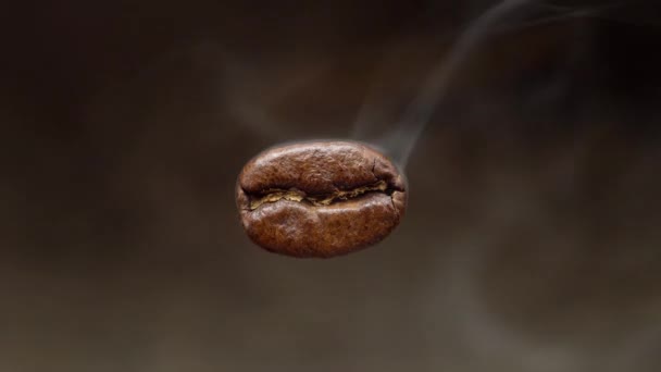 飛行のマクロ コーヒー豆を蒸しています マクロ撮影します 以下は暗い背景をぼかした写真 — ストック動画