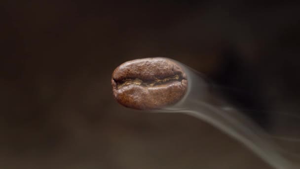 飞的宏观咖啡豆正在蒸 宏观拍摄 下面是一个模糊的黑暗背景 — 图库视频影像