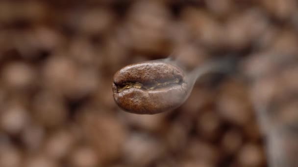 Den Flyvende Makro Kaffebønne Dampende Makroskud Nedenfor Sløret Kaffebaggrund – Stock-video
