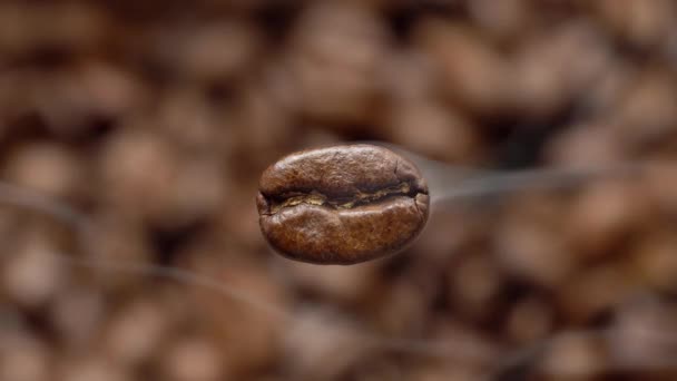 Vliegende Macro Koffieboon Stomen Macro Geschoten Hieronder Een Achtergrond Wazig — Stockvideo