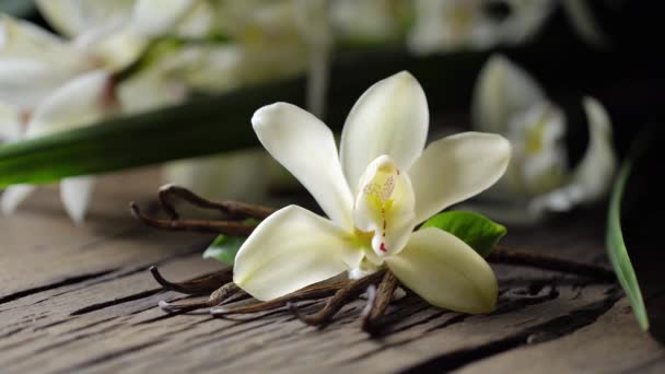 Vanilya Çiçek Eski Ahşap Tahta Sopa Vanilya Ile Başka Bir — Stok video
