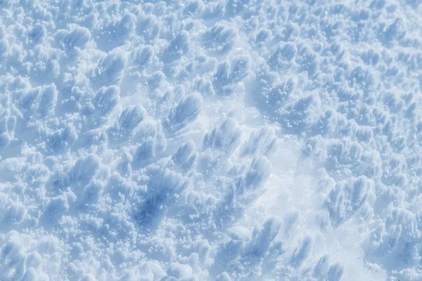 Makro Skott Snö Texure Natur Bakgrund — Stockfoto