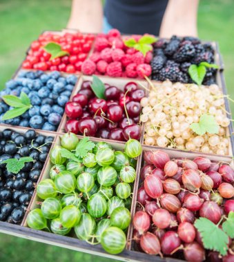 Ahşap kutu eller meyveleri ile. Üstten görünüm.