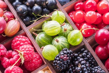 Ahşap kutu renkli meyveleri ile. Yakın çekim.