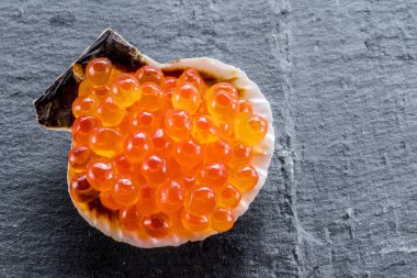 Deniz kabuğu gri grafit arka plan üzerinde kırmızı havyar. Makro resim.