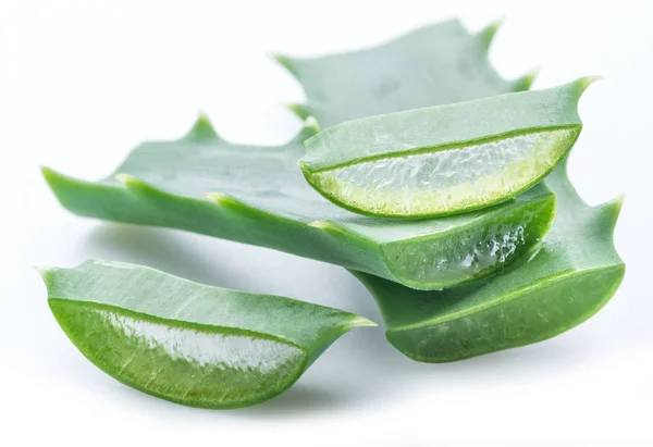 Aloe Eller Aloe Vera Färska Blad Och Skivor Vit Bakgrund — Stockfoto