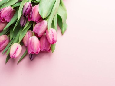 Buket pembe lale lightpink arka plan üzerinde. Üstten görünüm.