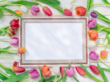 Bahar sunlights ahşap çerçeve etrafında renkli lale. Bahar arka plan.