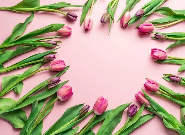 Delicate Pink Tulips Lightpink Background Top View — Stock Photo, Image