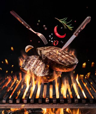 Ham sığır eti biftek sebze ve baharatlar ile yanan mangal Barbekü ateşte sinek. Gıda uçan kavramı.