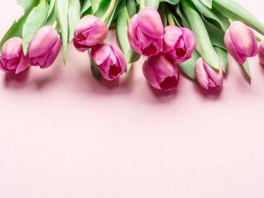Açık pembe arka planda zarif pembe laleler. Üst görünüm.