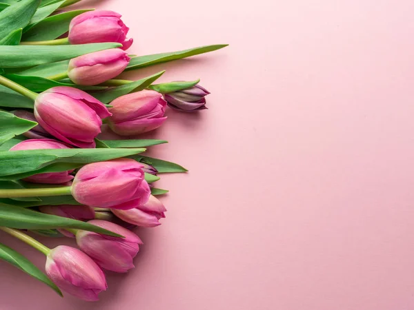 Нежные Розовые Тюльпаны Светло Розовом Фоне Вид Сверху — стоковое фото